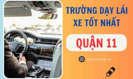 Tổng Hợp Các Trường Dạy Lái Xe Tốt Nhất Quận 11