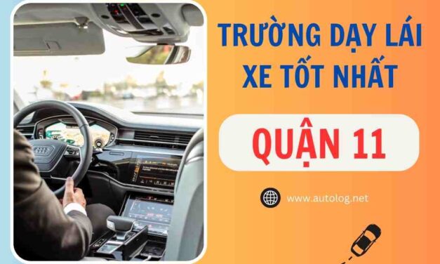 Tổng Hợp Các Trường Dạy Lái Xe Tốt Nhất Quận 11
