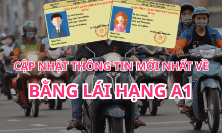 Cập Nhật Thông Tin Mới Nhất Về Hạng A1 2026