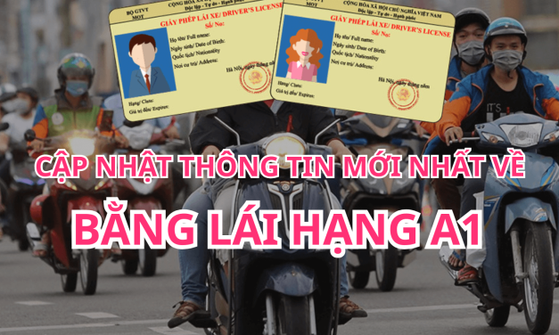 Cập Nhật Thông Tin Mới Nhất Về Hạng A1 2026