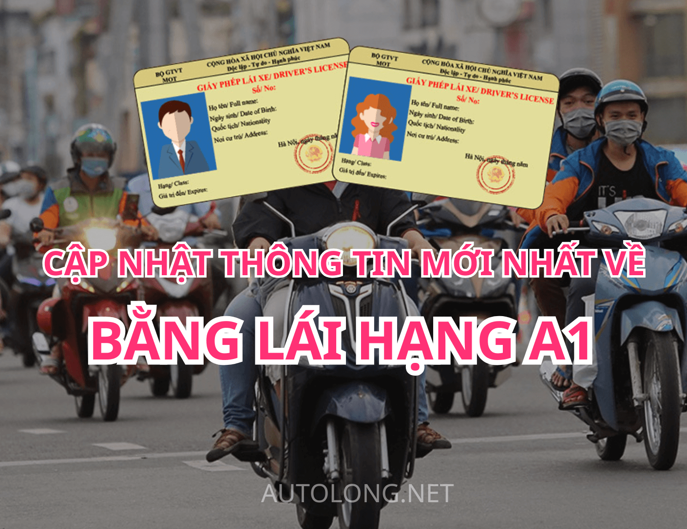 cập nhật thông tin mới nhất về bằng lái A1 2025