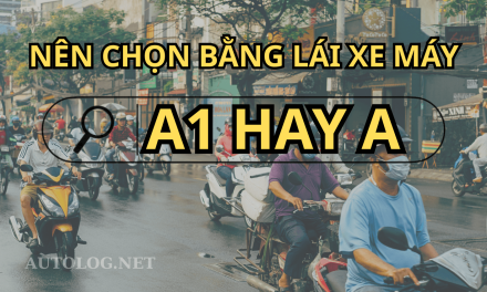 So Sánh Bằng A1 Và A Mới Có Gì Khác Nhau?