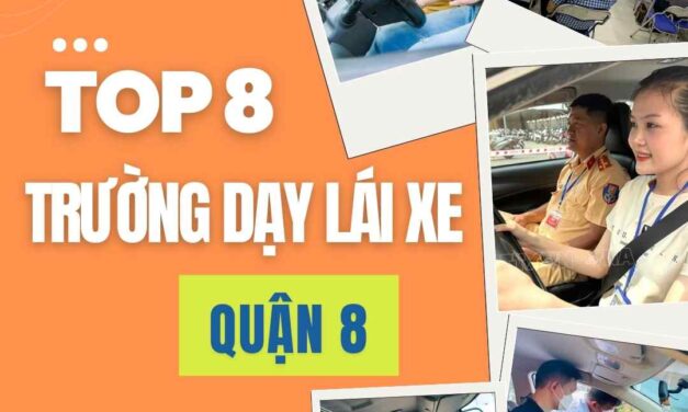 Tổng Hợp Danh Sách Trường Dạy Lái Xe Quận 8 Nên Học