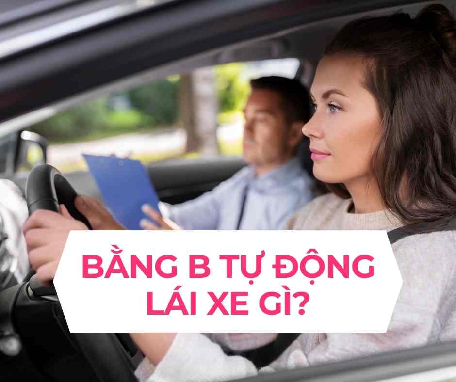 học lái xe b1 tự động bao nhiêu tiền?