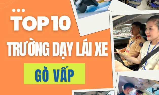 Danh Sách Các Trường Đào Tạo Lái Xe Gò Vấp Uy Tín Tốt Nhất